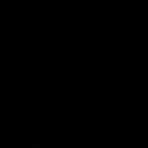 Meet your Posher, Tyson